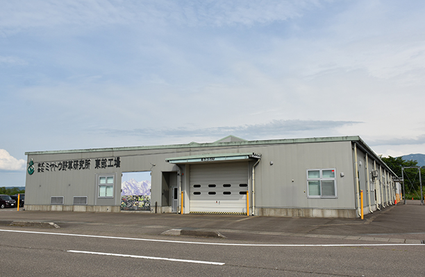 写真：東部第1工場（H24年9月竣工）